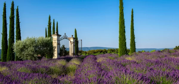 Coquillade Provence